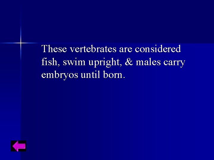 These vertebrates are considered fish, swim upright, & males carry embryos until born. 