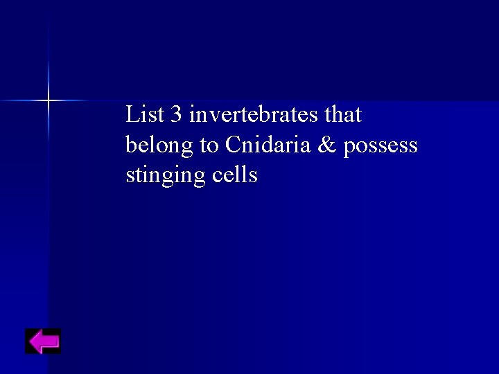 List 3 invertebrates that belong to Cnidaria & possess stinging cells 