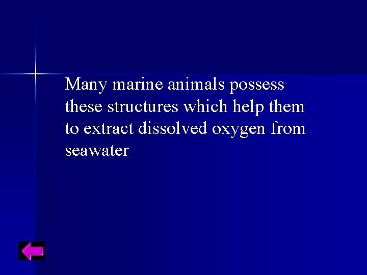 Many marine animals possess these structures which help them to extract dissolved oxygen from