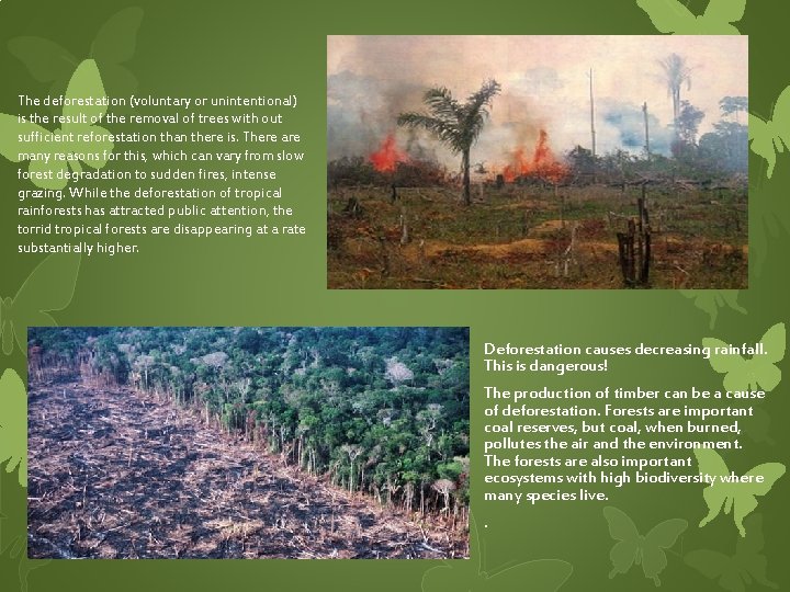 The deforestation (voluntary or unintentional) is the result of the removal of trees with