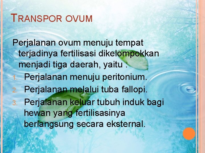 TRANSPOR OVUM Perjalanan ovum menuju tempat terjadinya fertilisasi dikelompokkan menjadi tiga daerah, yaitu :