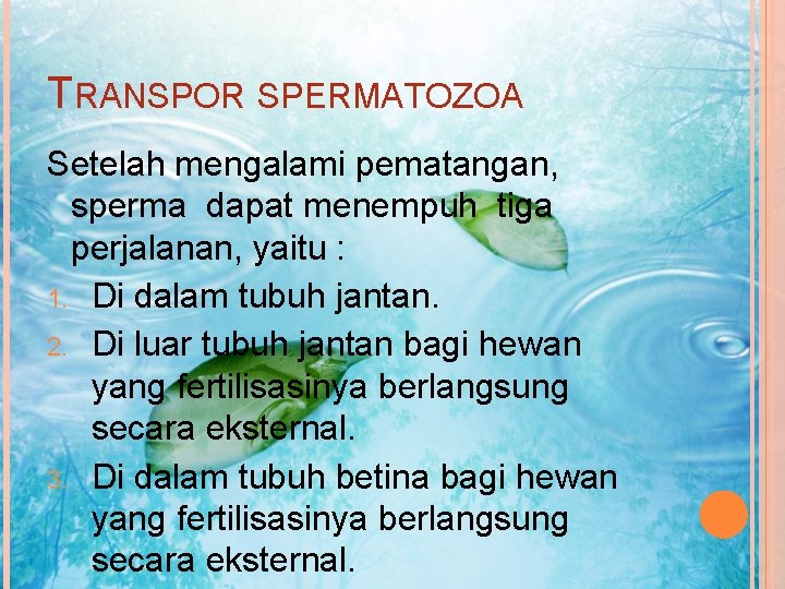 TRANSPOR SPERMATOZOA Setelah mengalami pematangan, sperma dapat menempuh tiga perjalanan, yaitu : 1. Di