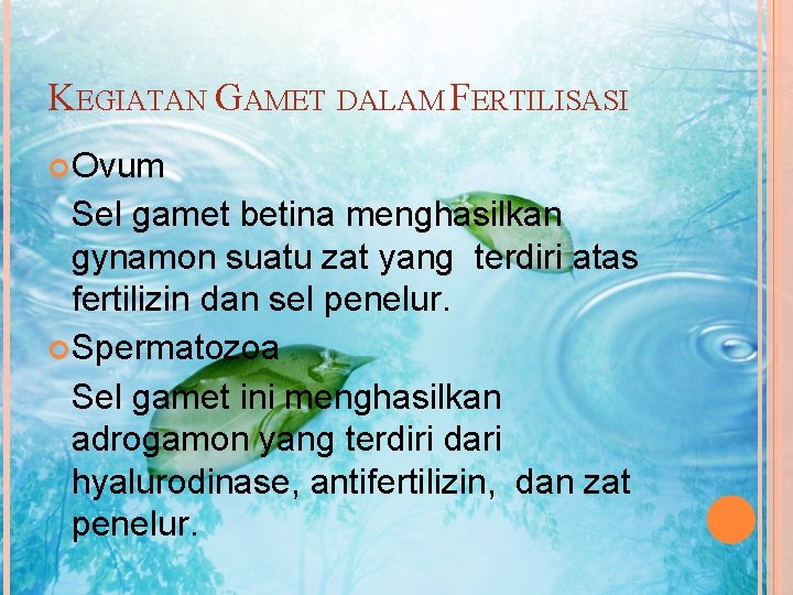 KEGIATAN GAMET DALAM FERTILISASI Ovum Sel gamet betina menghasilkan gynamon suatu zat yang terdiri