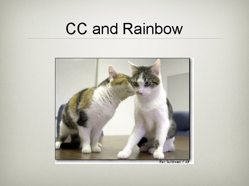 CC and Rainbow 