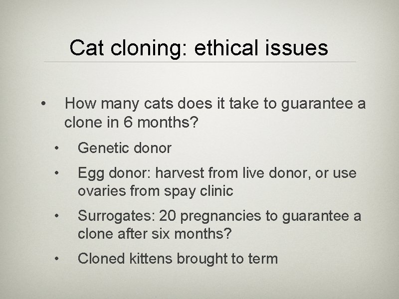 Cat cloning: ethical issues • How many cats does it take to guarantee a