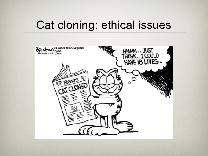 Cat cloning: ethical issues 