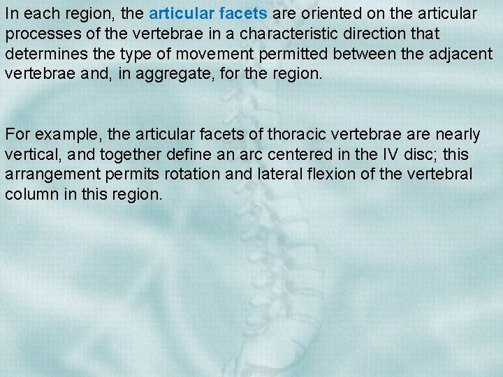 In each region, the articular facets are oriented on the articular processes of the