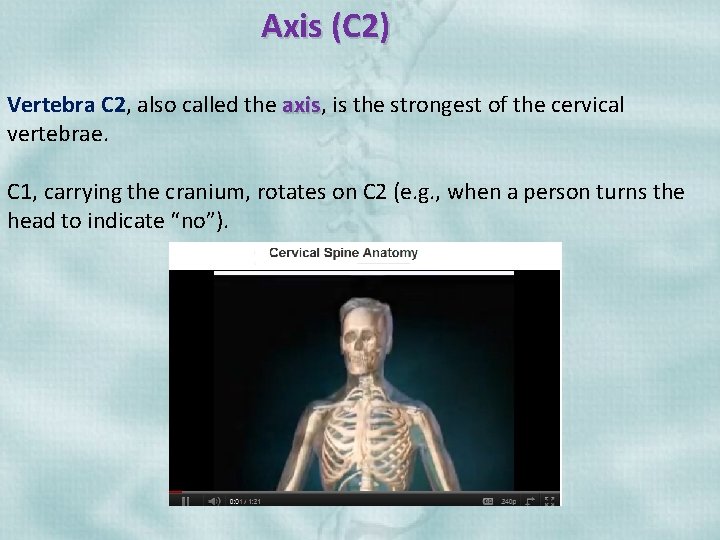 Axis (C 2) Vertebra C 2, also called the axis, axis is the strongest