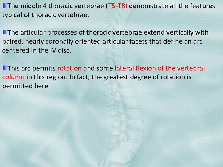 The middle 4 thoracic vertebrae (T 5 -T 8) demonstrate all the features typical
