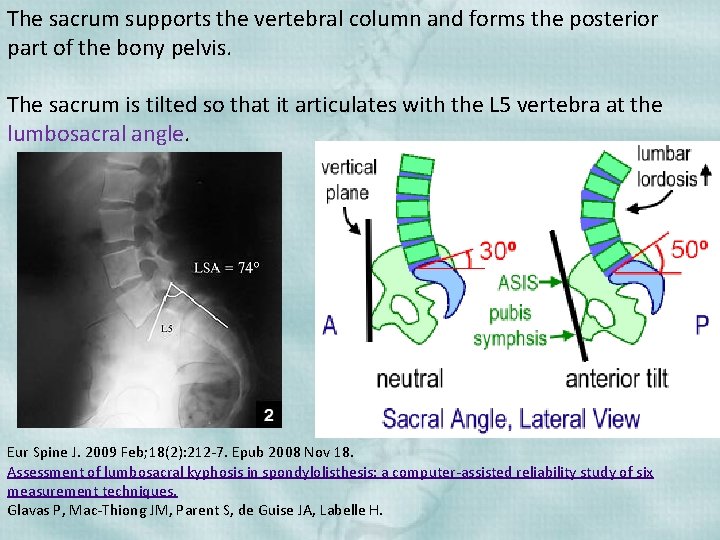 The sacrum supports the vertebral column and forms the posterior part of the bony