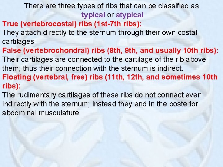 There are three types of ribs that can be classified as typical or atypical