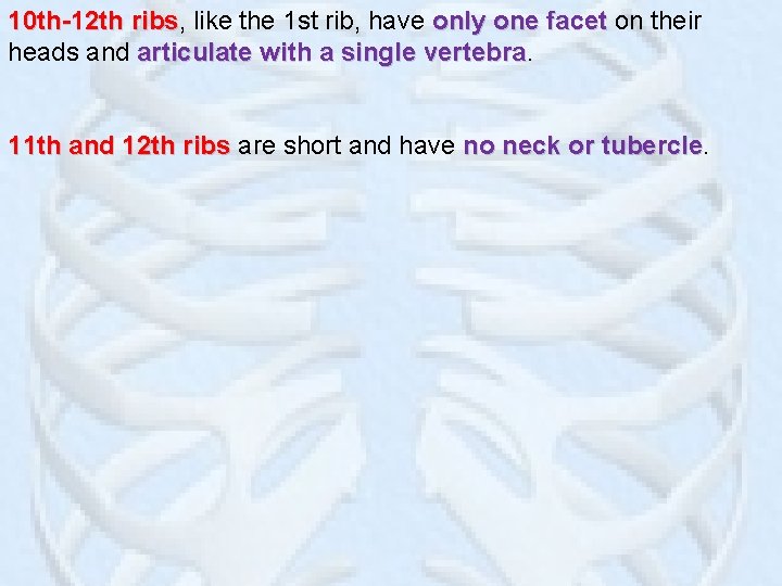 10 th-12 th ribs, ribs like the 1 st rib, have only one facet