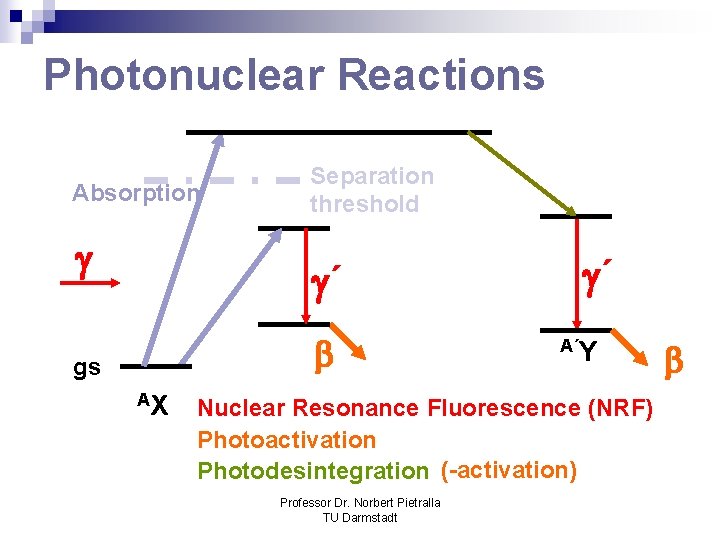 Photonuclear Reactions Absorption Separation threshold ´ gs AX ´ A´Y Nuclear Resonance Fluorescence (NRF)