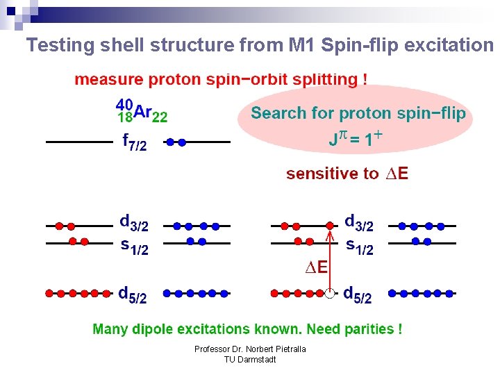 Testing shell structure from M 1 Spin-flip excitation Professor Dr. Norbert Pietralla TU Darmstadt