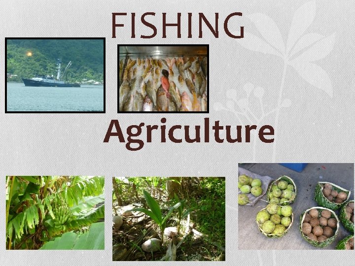 FISHING Agriculture 