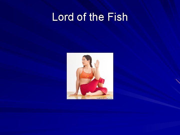 Lord of the Fish 