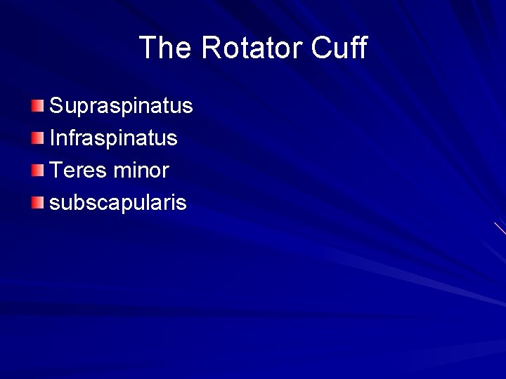 The Rotator Cuff Supraspinatus Infraspinatus Teres minor subscapularis 