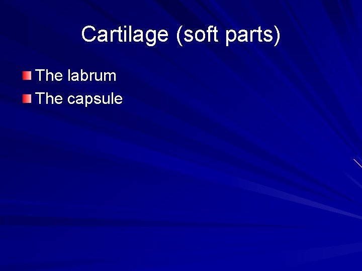 Cartilage (soft parts) The labrum The capsule 