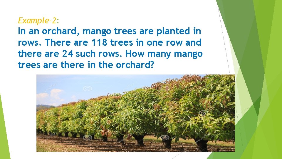 Example-2: In an orchard, mango trees are planted in rows. There are 118 trees