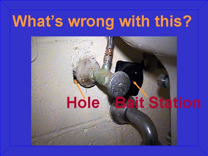 What’s wrong with this? Hole Bait Station What’s wrong with this? Hole Bait Station
