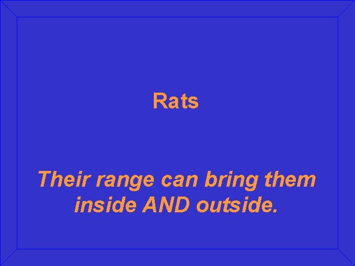 Rats Their range can bring them inside AND outside. 