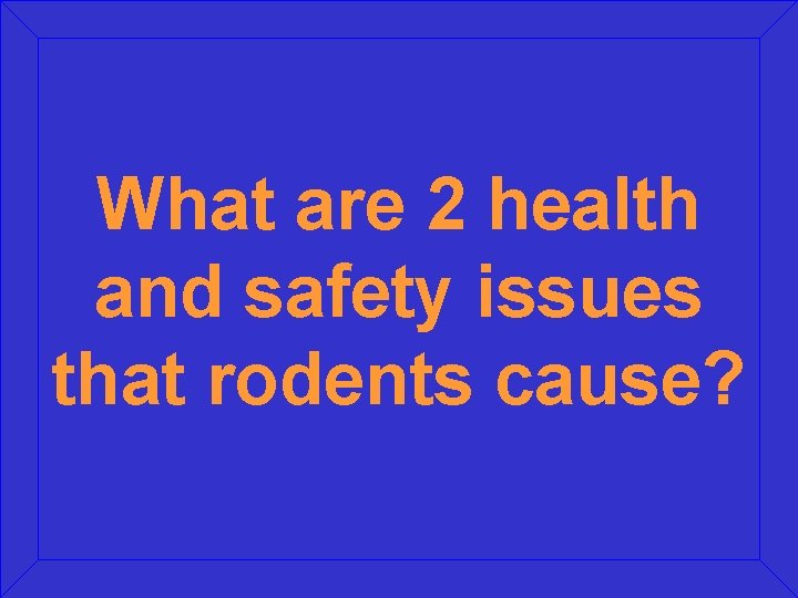What are 2 health and safety issues that rodents cause? 