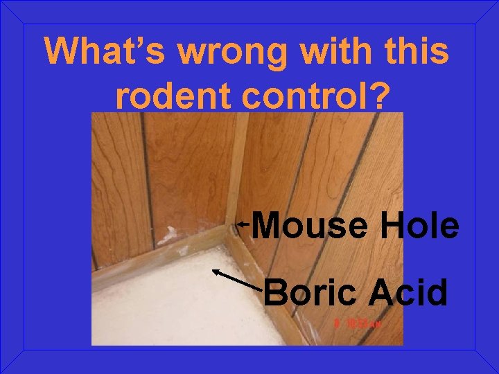 What’s wrong with this rodent control? Mouse Hole Boric Acid 