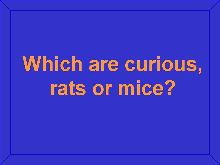 Which are curious, rats or mice? 