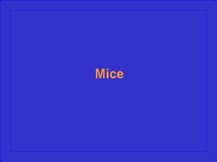 Mice 