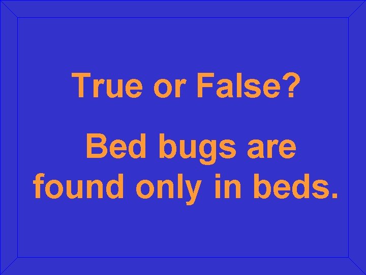 True or False? Bed bugs are found only in beds. 