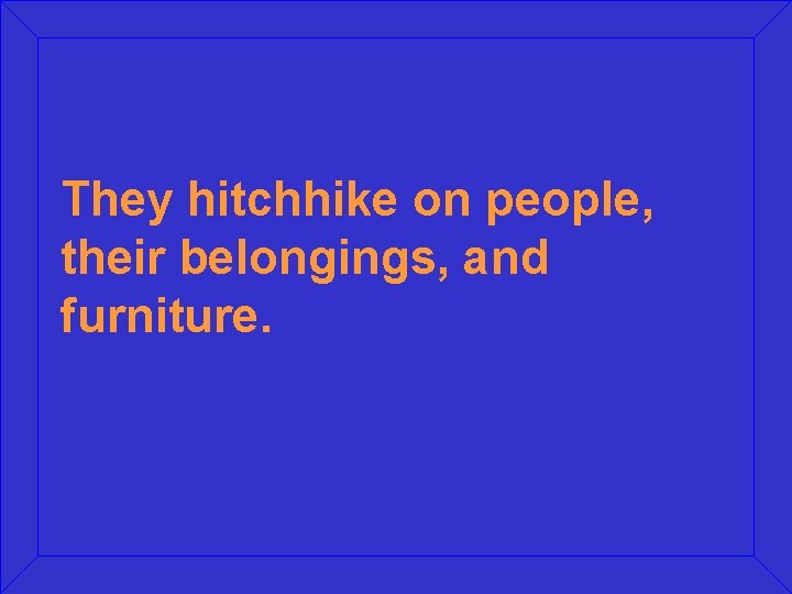 They hitchhike on people, their belongings, and furniture. 