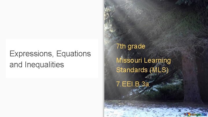 Expressions, Equations and Inequalities 7 th grade Missouri Learning Standards (MLS) 7. EEI. B.