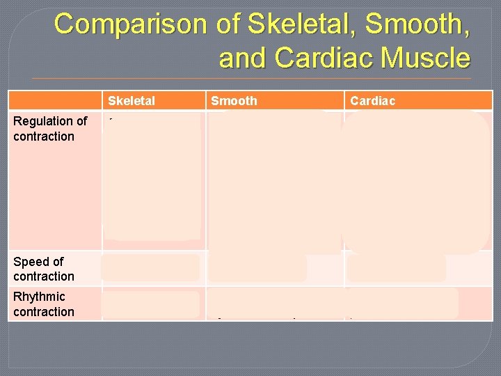 Comparison of Skeletal, Smooth, and Cardiac Muscle Skeletal Smooth Cardiac Nervous Muscle system excites