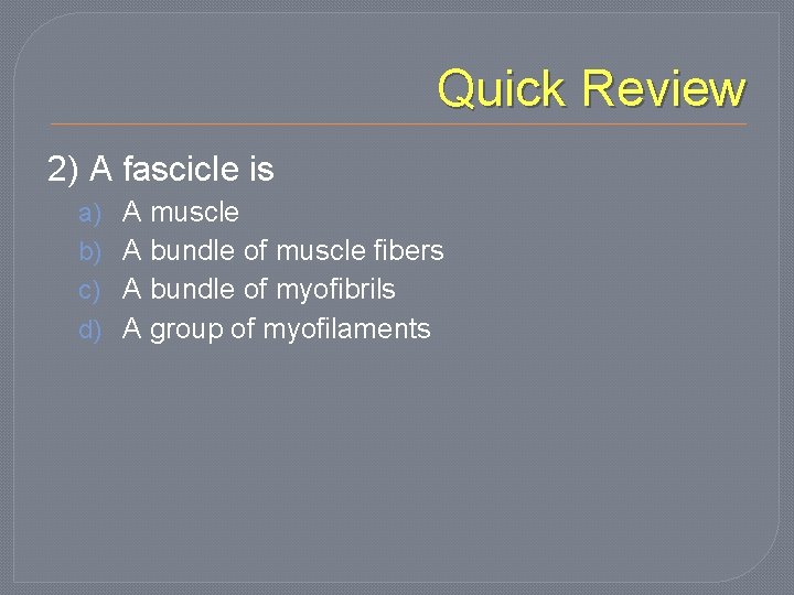 Quick Review 2) A fascicle is a) b) c) d) A muscle A bundle