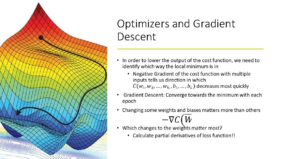 Optimizers and Gradient Descent • 