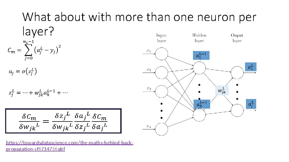 What about with more than one neuron per layer? • https: //towardsdatascience. com/the-maths-behind-backpropagation-cf 6714736