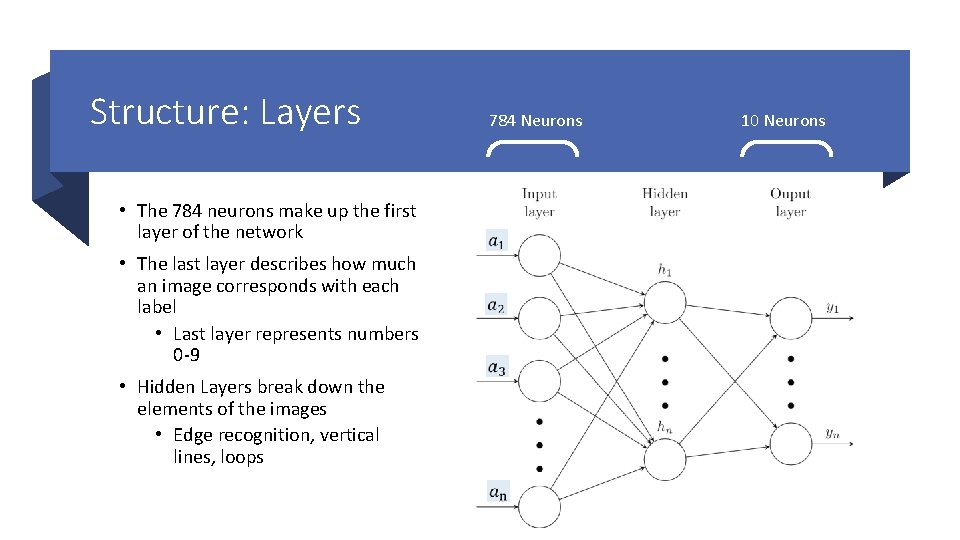 Structure: Layers • The 784 neurons make up the first layer of the network