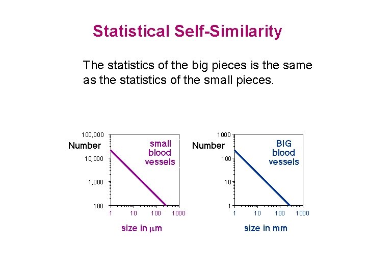 Statistical Self-Similarity The statistics of the big pieces is the same as the statistics