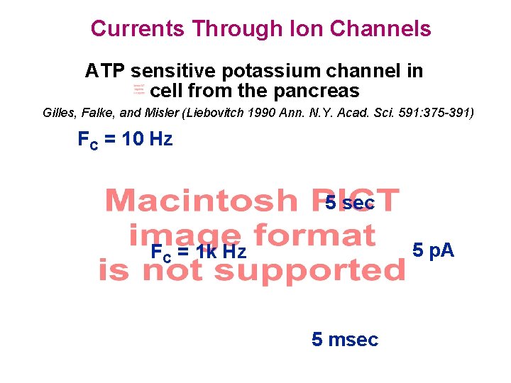 Currents Through Ion Channels ATP sensitive potassium channel in cell from the pancreas Gilles,
