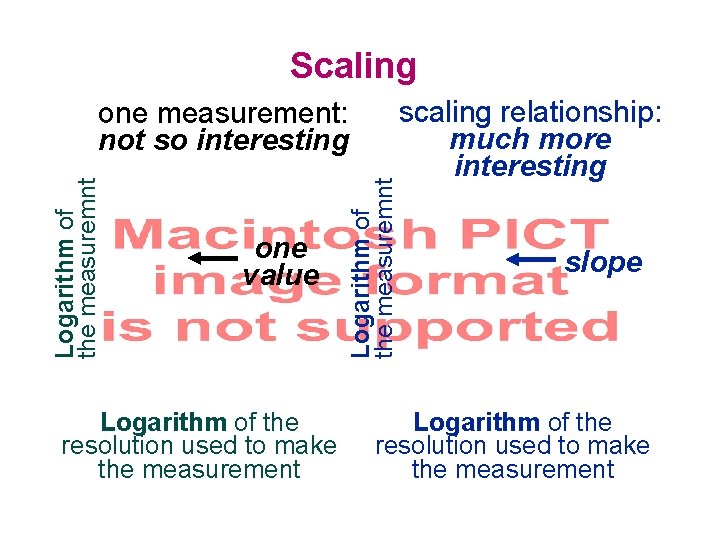 Scaling one value Logarithm of the resolution used to make the measurement Logarithm of
