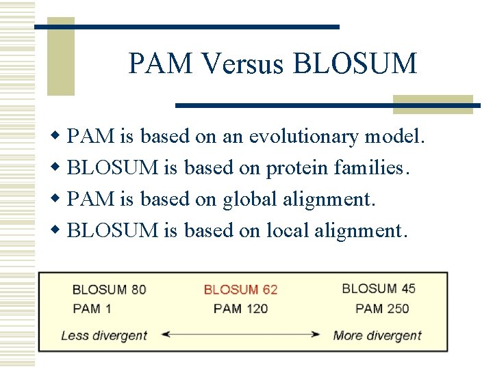 PAM Versus BLOSUM w PAM is based on an evolutionary model. w BLOSUM is