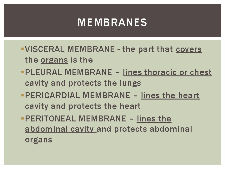 MEMBRANES § VISCERAL MEMBRANE - the part that covers the organs is the §