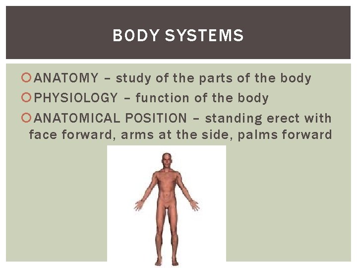 BODY SYSTEMS ANATOMY – study of the parts of the body PHYSIOLOGY – function