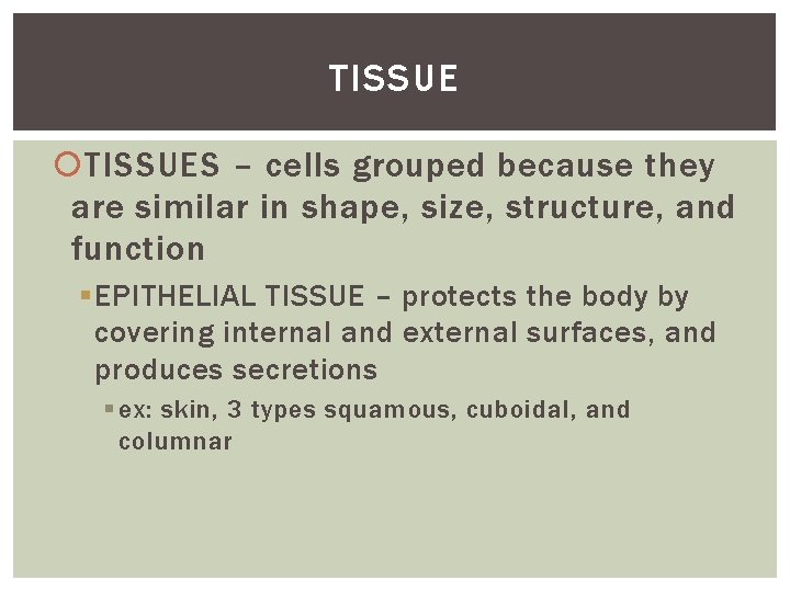 TISSUE TISSUES – cells grouped because they are similar in shape, size, structure, and