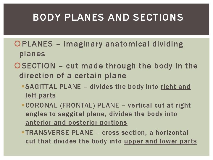 BODY PLANES AND SECTIONS PLANES – imaginary anatomical dividing planes SECTION – cut made