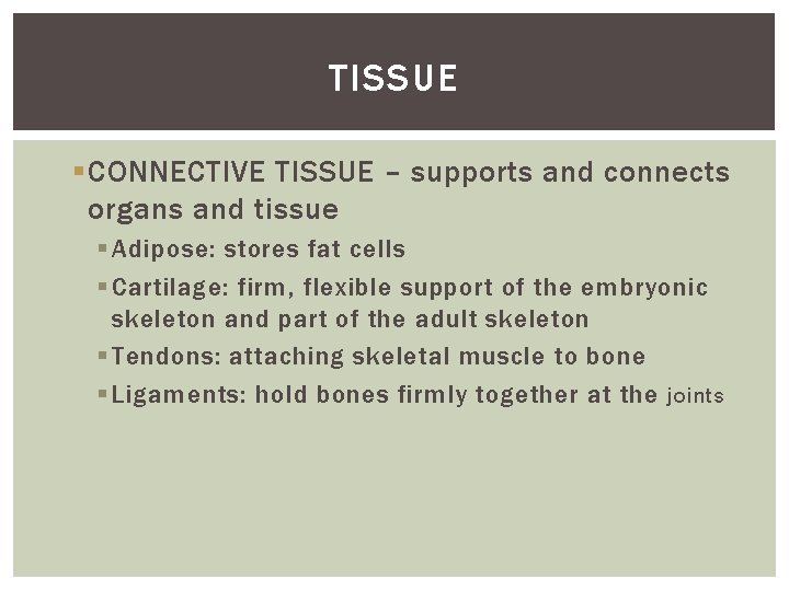 TISSUE § CONNECTIVE TISSUE – supports and connects organs and tissue § Adipose: stores