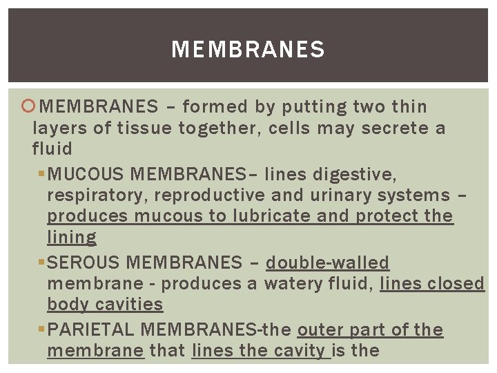 MEMBRANES – formed by putting two thin layers of tissue together, cells may secrete