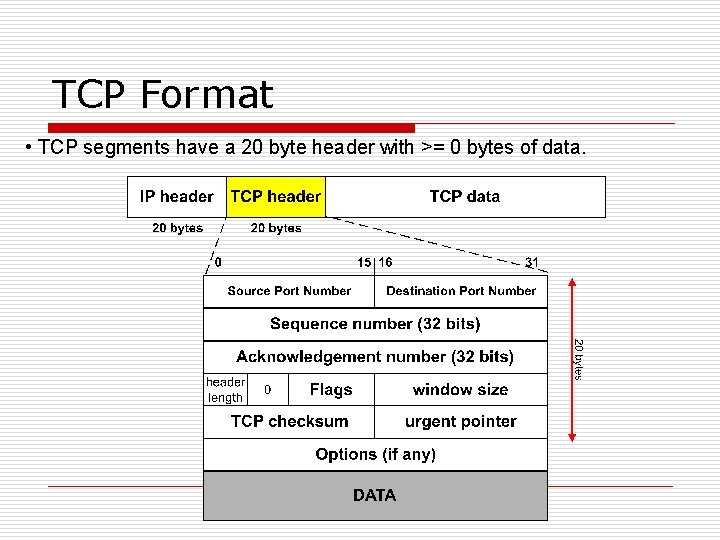 TCP Format • TCP segments have a 20 byte header with >= 0 bytes