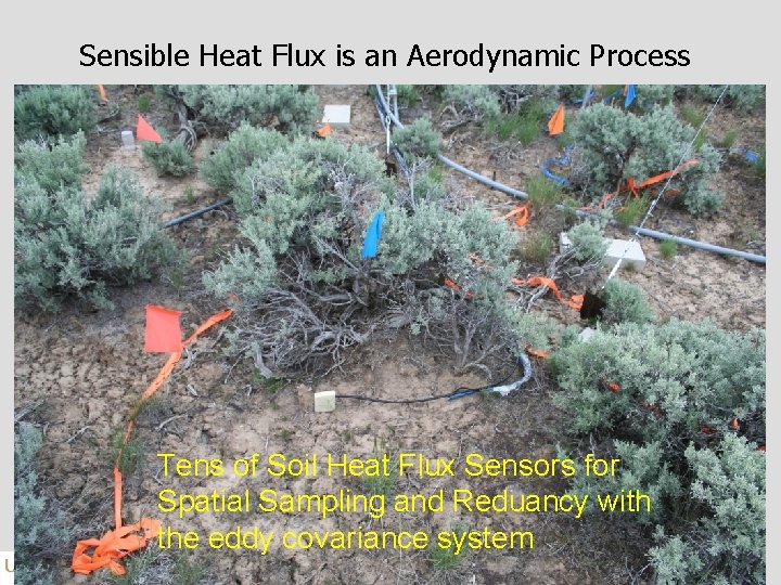 Sensible Heat Flux is an Aerodynamic Process Tens of Soil Heat Flux Sensors for
