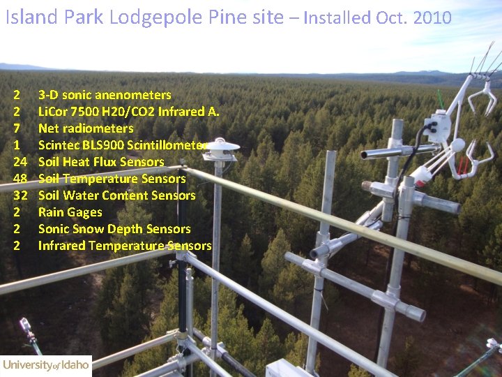 Island Park Lodgepole Pine site – Installed Oct. 2010 2 2 7 1 24